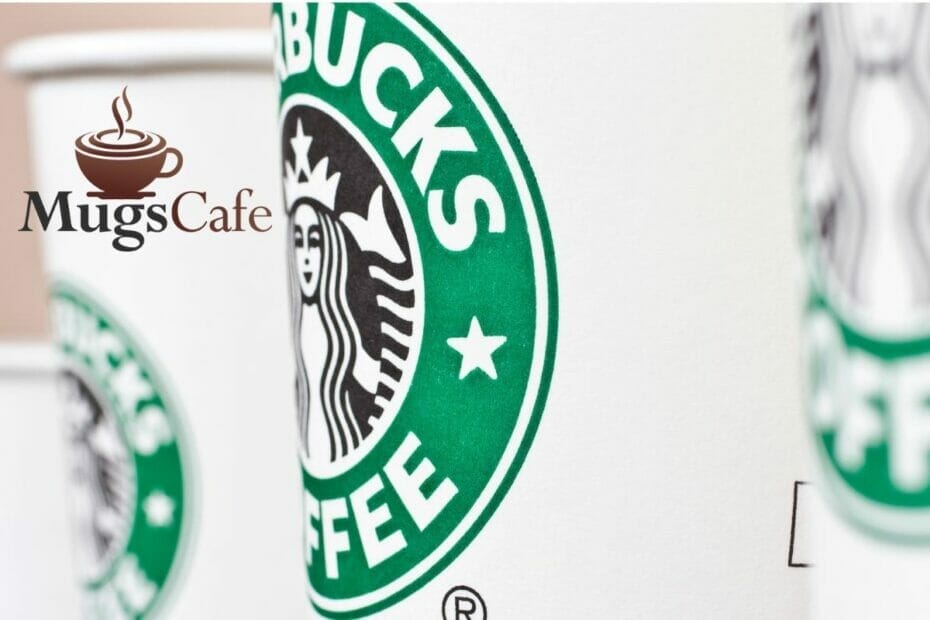 What Are Starbucks Cup Lines For?