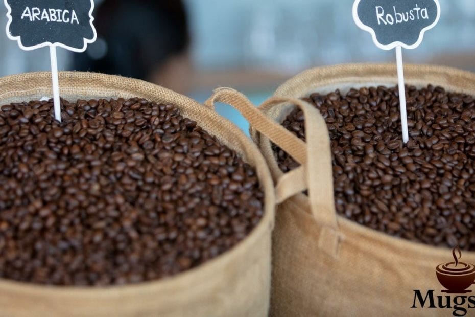 Arabica Vs. Robusta – Which One Is Better?