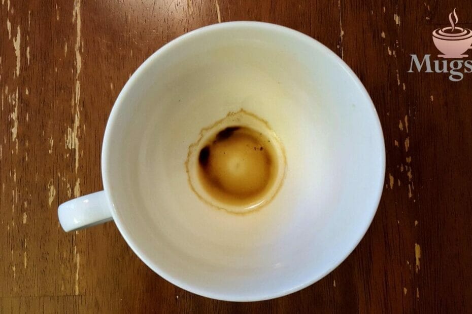 How To Clean Coffee Mugs & Remove Stubborn Stains?