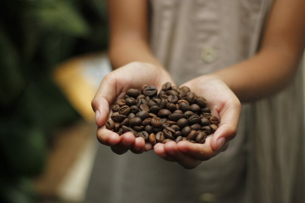 Which Espresso Beans Are The Best?