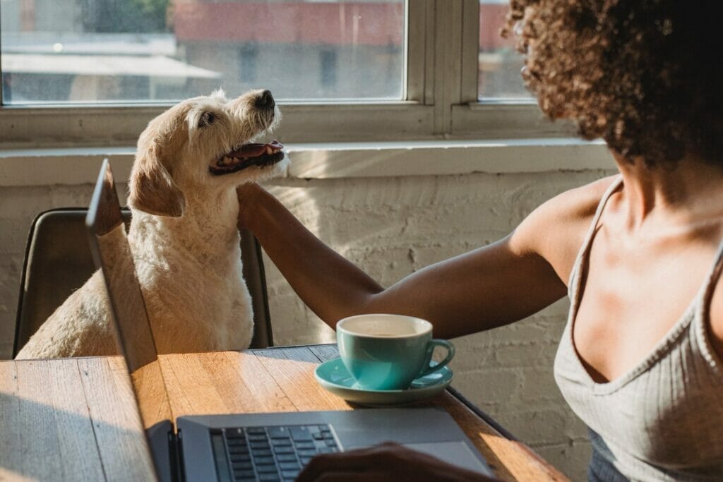 Is It Okay To Feed Coffee Grounds To Other Animals?