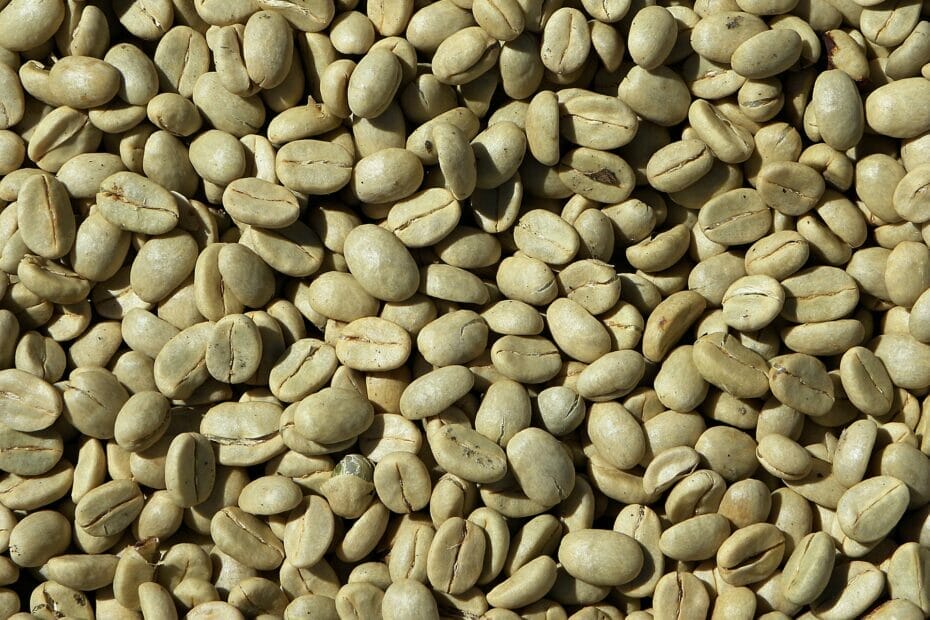 Can You Eat Raw Coffee Beans?