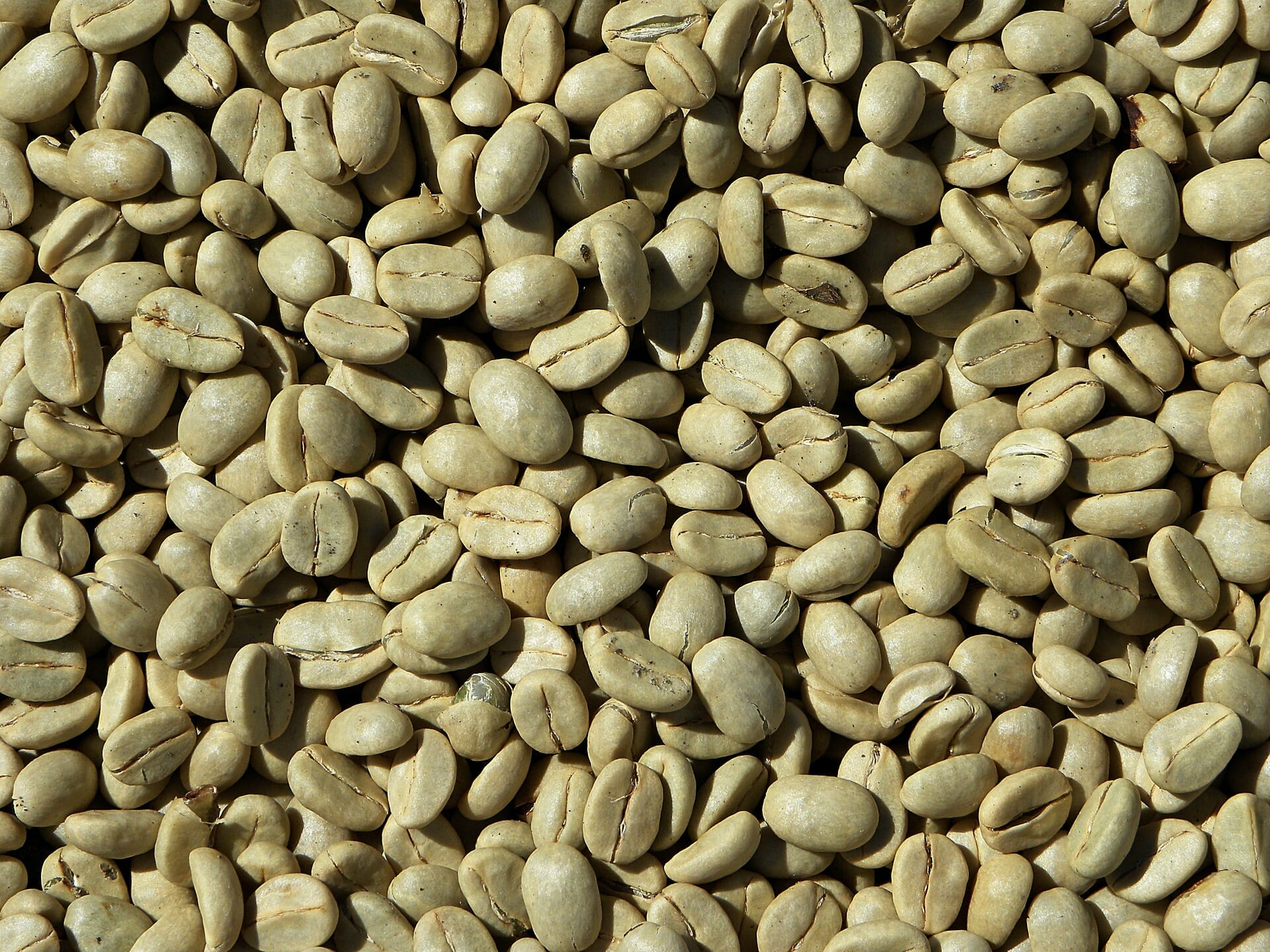 Can You Eat Raw Coffee Beans?